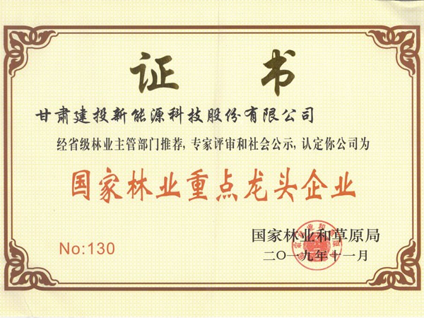 甘肅建投新能源公司喜獲第四屆“中國(guó)林業(yè)產(chǎn)業(yè)創(chuàng)新獎(jiǎng)”及“國(guó)家林業(yè)重點(diǎn)龍頭企業(yè)”稱(chēng)號(hào)