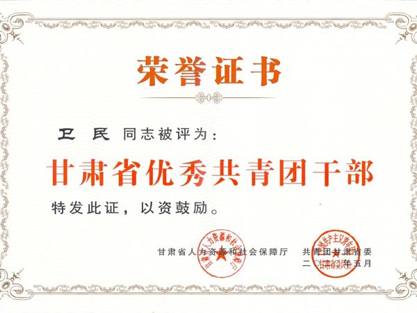 甘肅建投新能源科技股份有限公司團(tuán)支部青年代表參加“學(xué)習(xí)寄語(yǔ)精神，展現(xiàn)青春擔(dān)當(dāng)”座談會(huì)