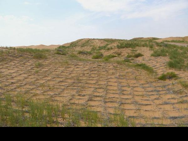 生態(tài)治理  刻不容緩