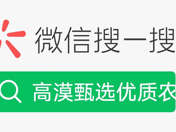 助力“高漠”品牌創(chuàng)新   推動沙產(chǎn)業(yè)持續(xù)發(fā)展  ——“高漠甄選”電子商城正式運營