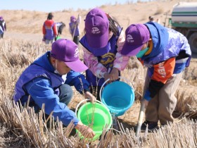 甘肅建投新能源公司沙漠研學(xué)旅行基地舉辦“我與小樹(shù)共成長(zhǎng)，爭(zhēng)做護(hù)綠小使者”主題研學(xué)活動(dòng)