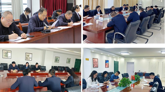 甘肅建投新能源公司各黨支部召開2024年度組織生活會(huì)